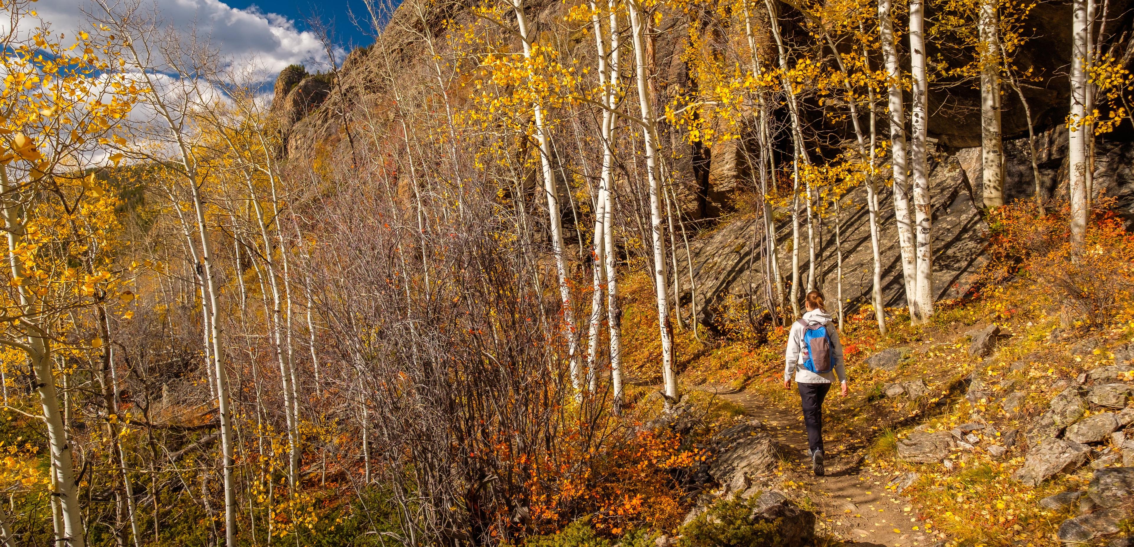 A person wearing a backpack hikes on a dirt trail through a forest with yellow autumn leaves and rocky terrain.